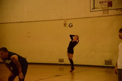 DSC_1691 (Large).JPG